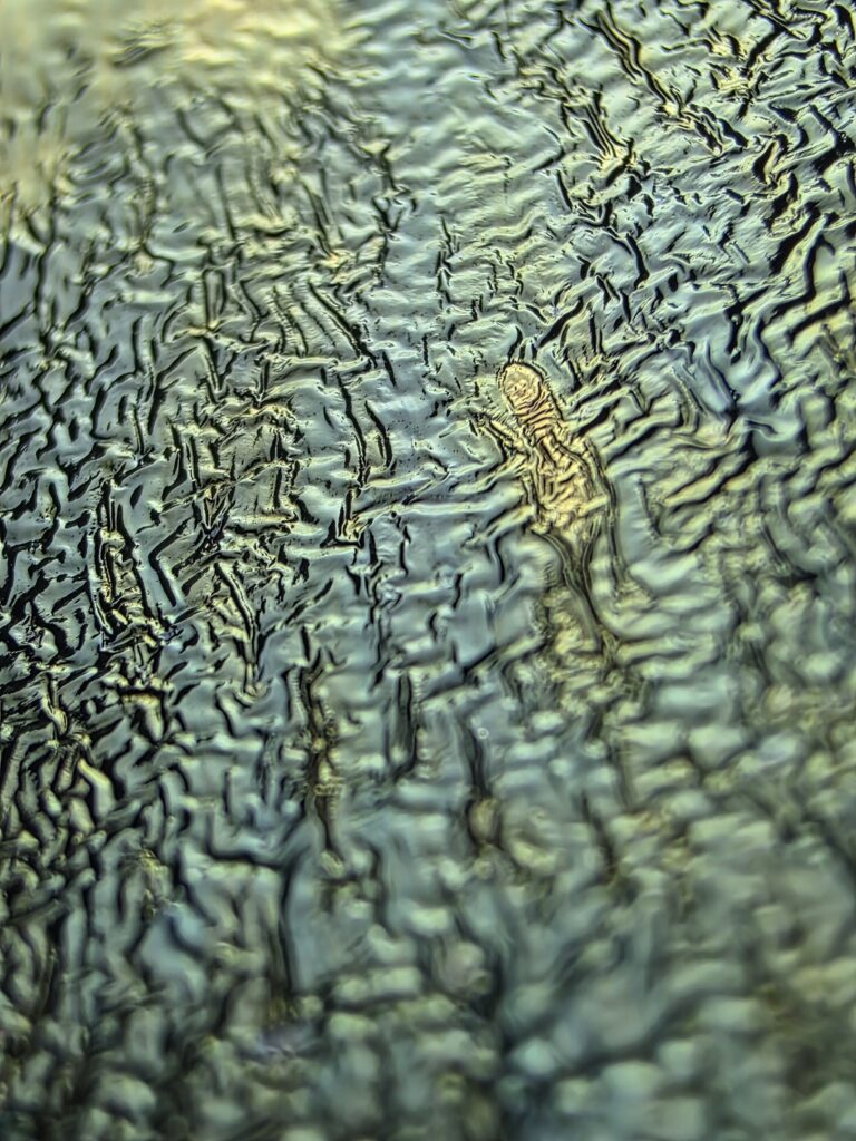 Zhu Qiumin bowl