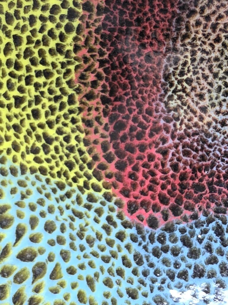 Xie Ai hua multi colored cup