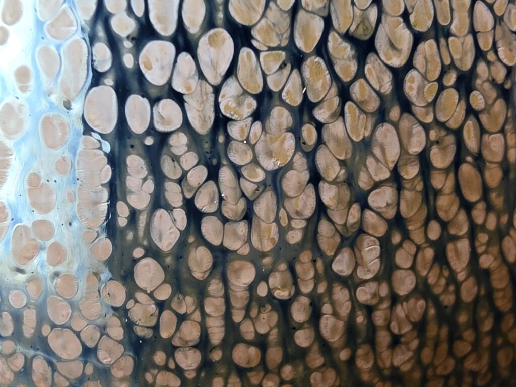 ZHAO LIMEI defective new glaze