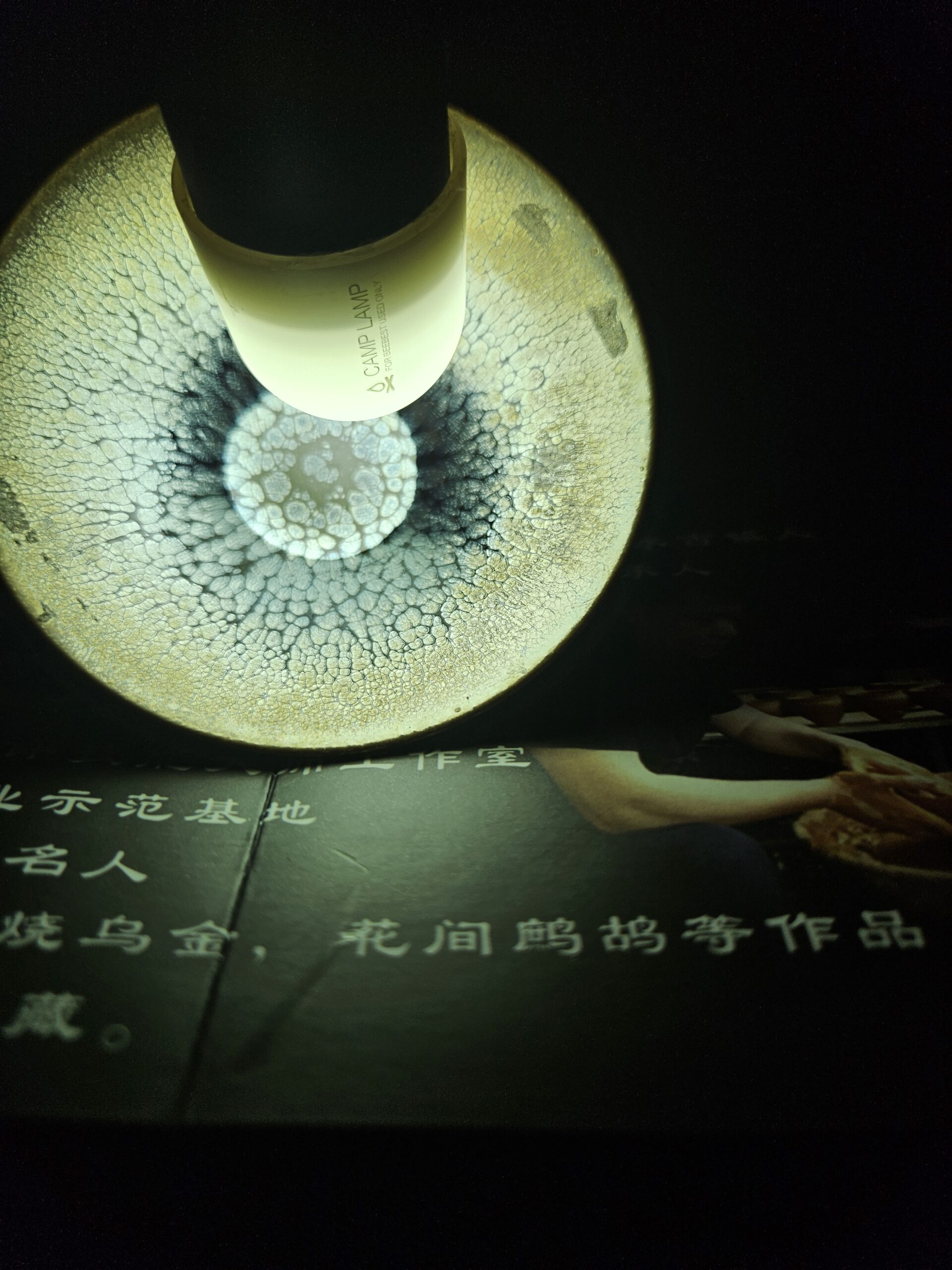 MASTER Lin Changming