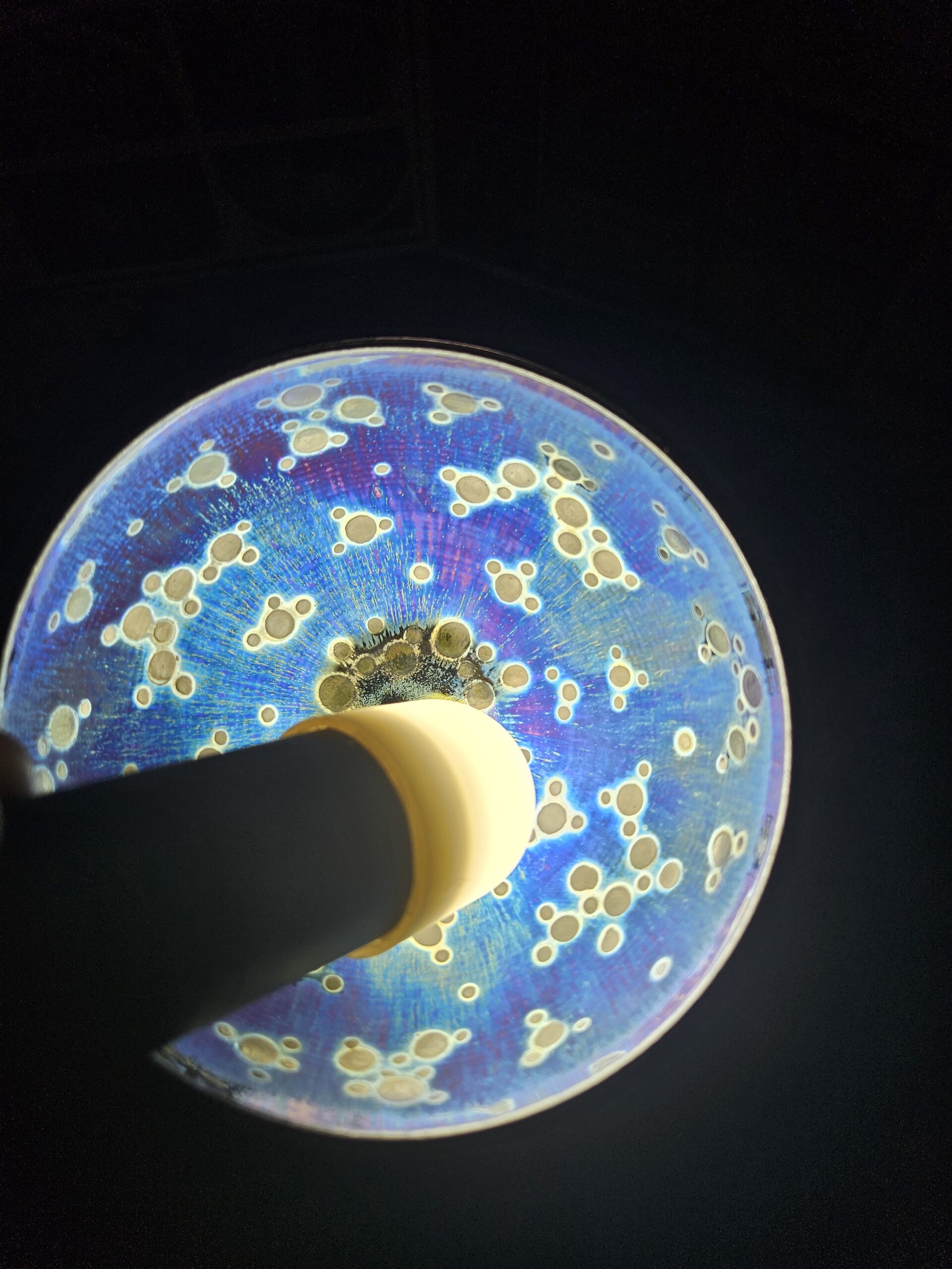 MASTER Chen Jianxiong