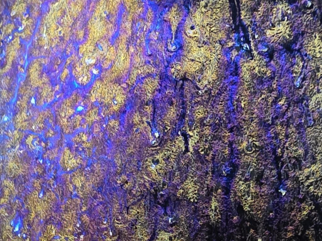 Luo Renxian drippy & colorful
