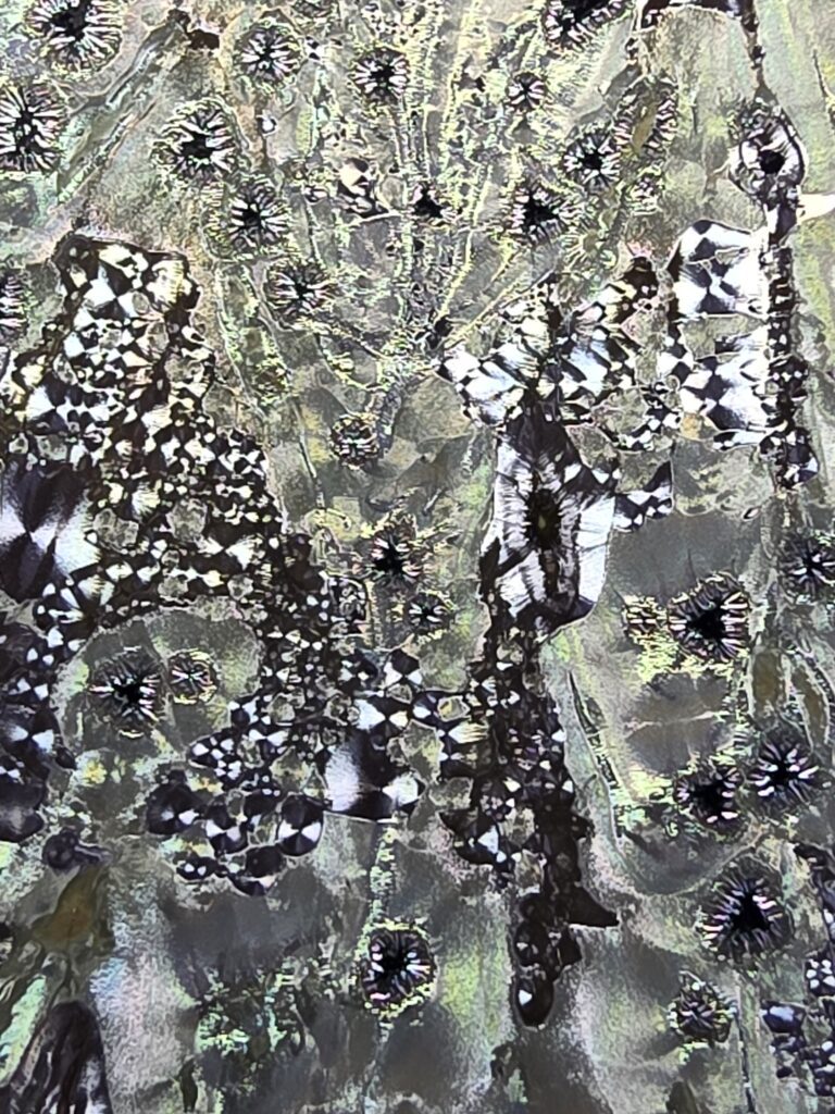 Wu Xiaoqing silver rainbow