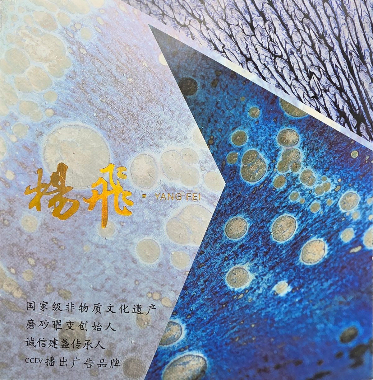 Yang Fei