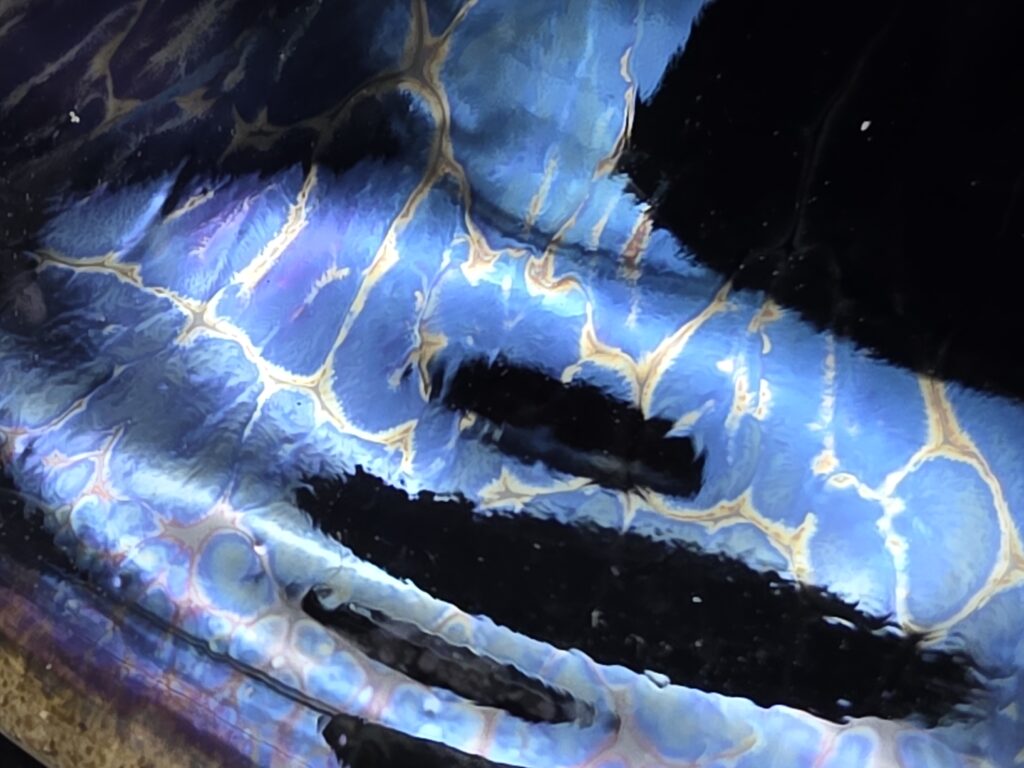 Li Jinhua drippy mushie