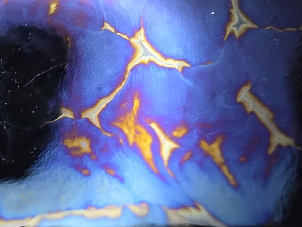 Li Jinhua drippy mushie