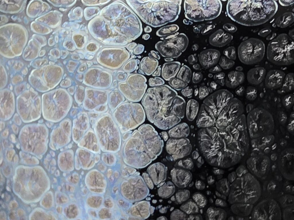 ssyp purple spots