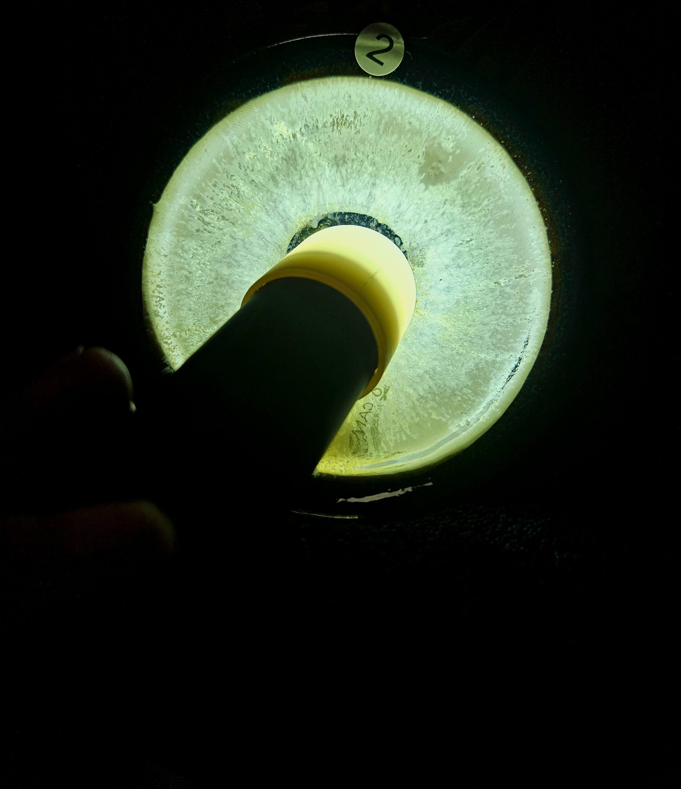 Lin Zhengqing/ Lin Zhengshou