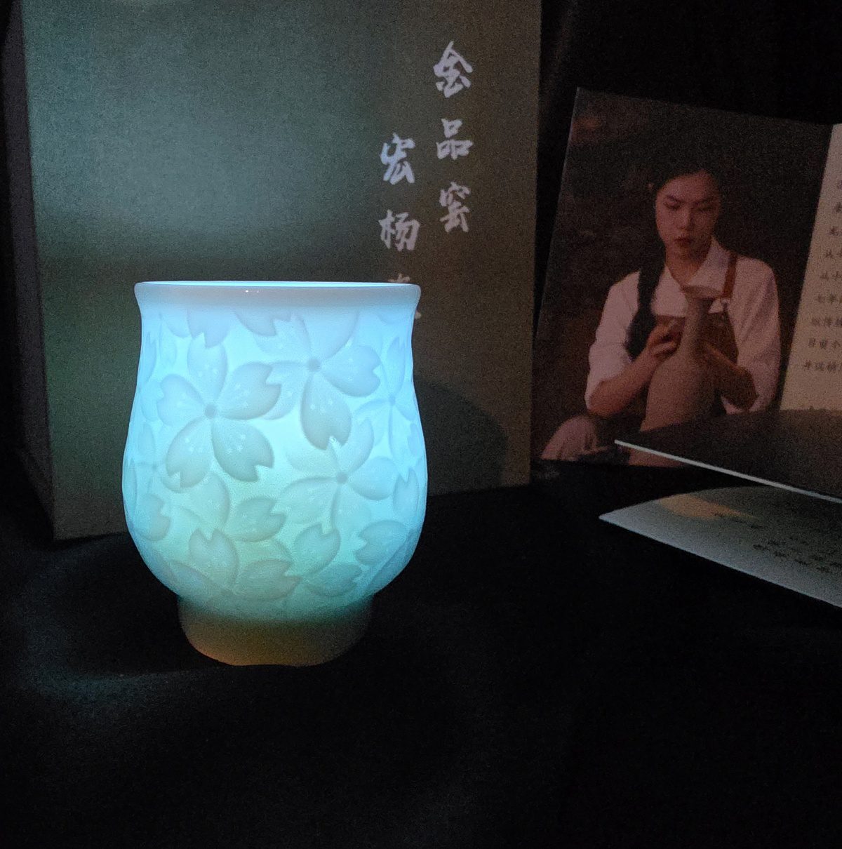 Jin Hongyang cherry blossoms 🌸