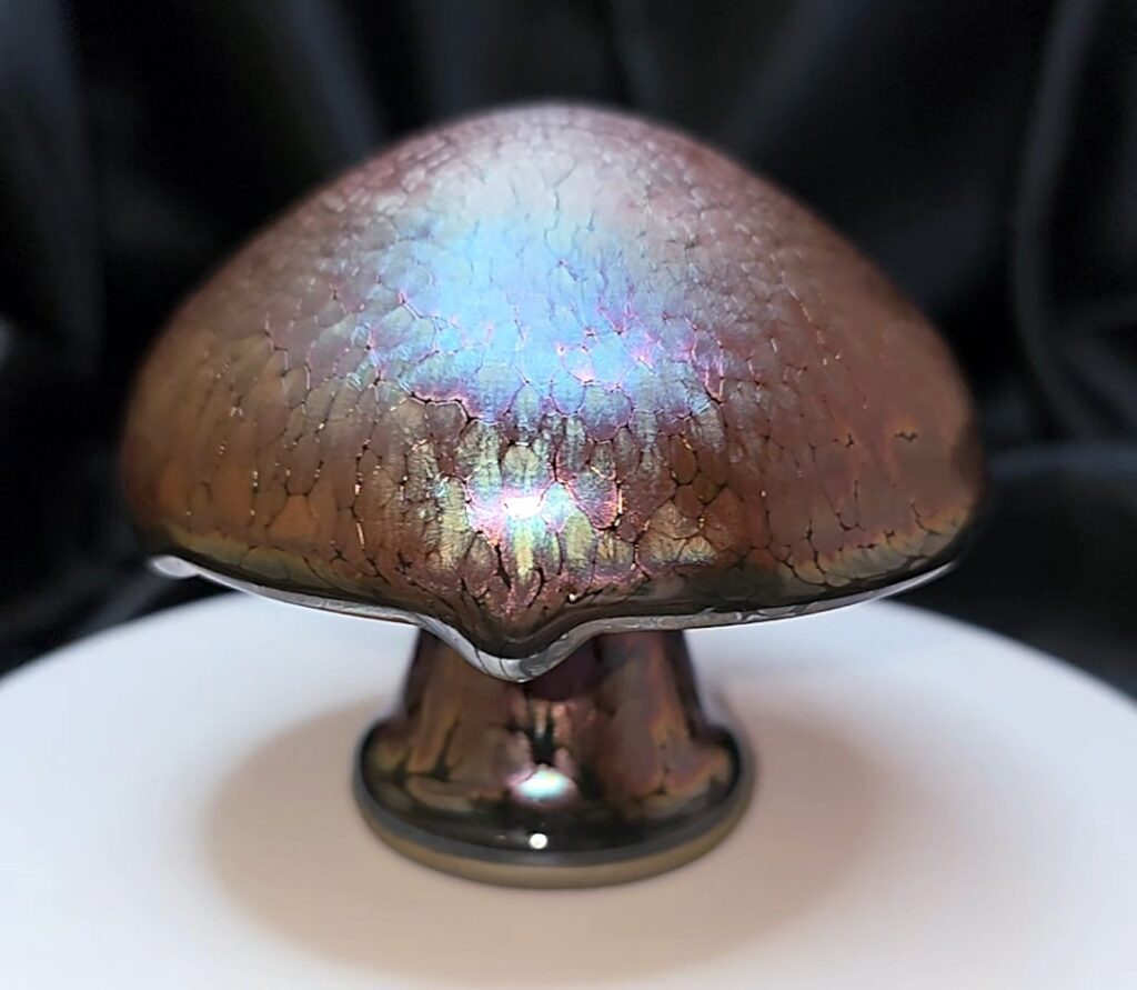 Miao Zhaorong mushroom 🍄 lid holder