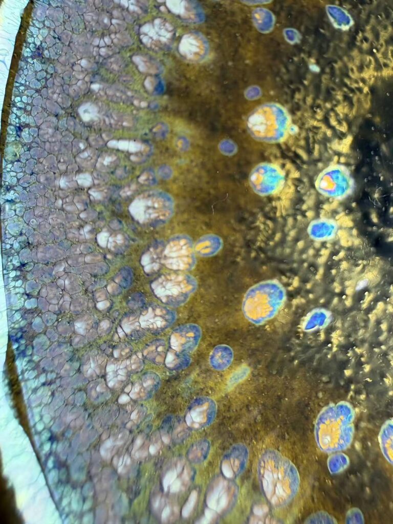 Close view of crystalline Jian Zhan glaze by You Hui