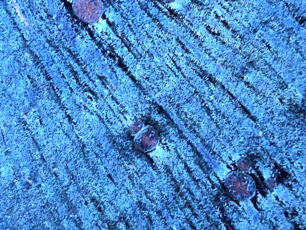 Wang Li Qin blue oil spot