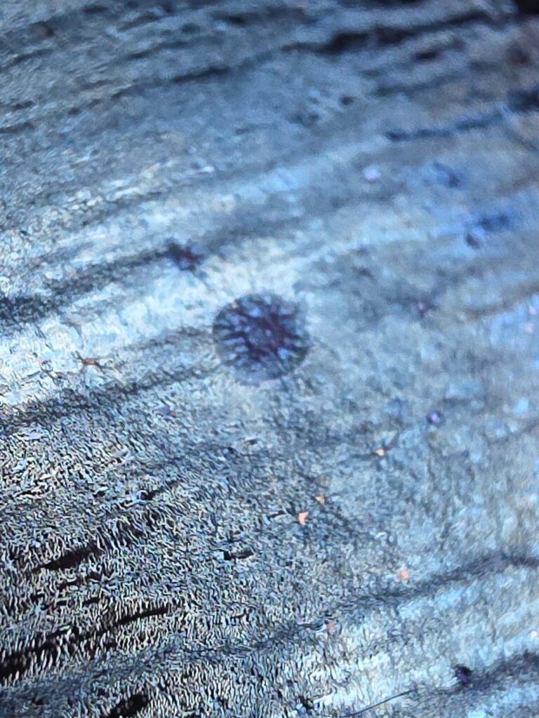 Wang Li Qin blue oil spot