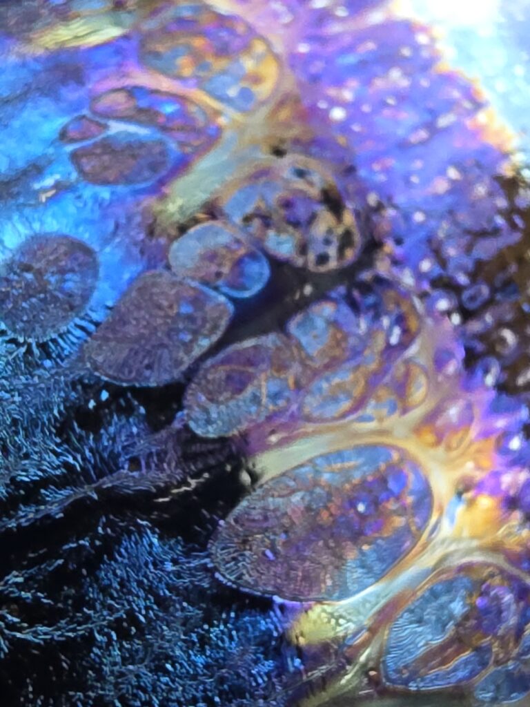 Wang Li Qin blue oil spot
