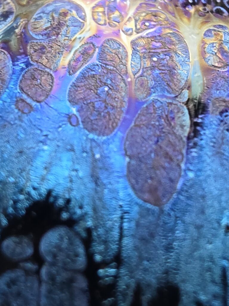 Wang Li Qin blue oil spot