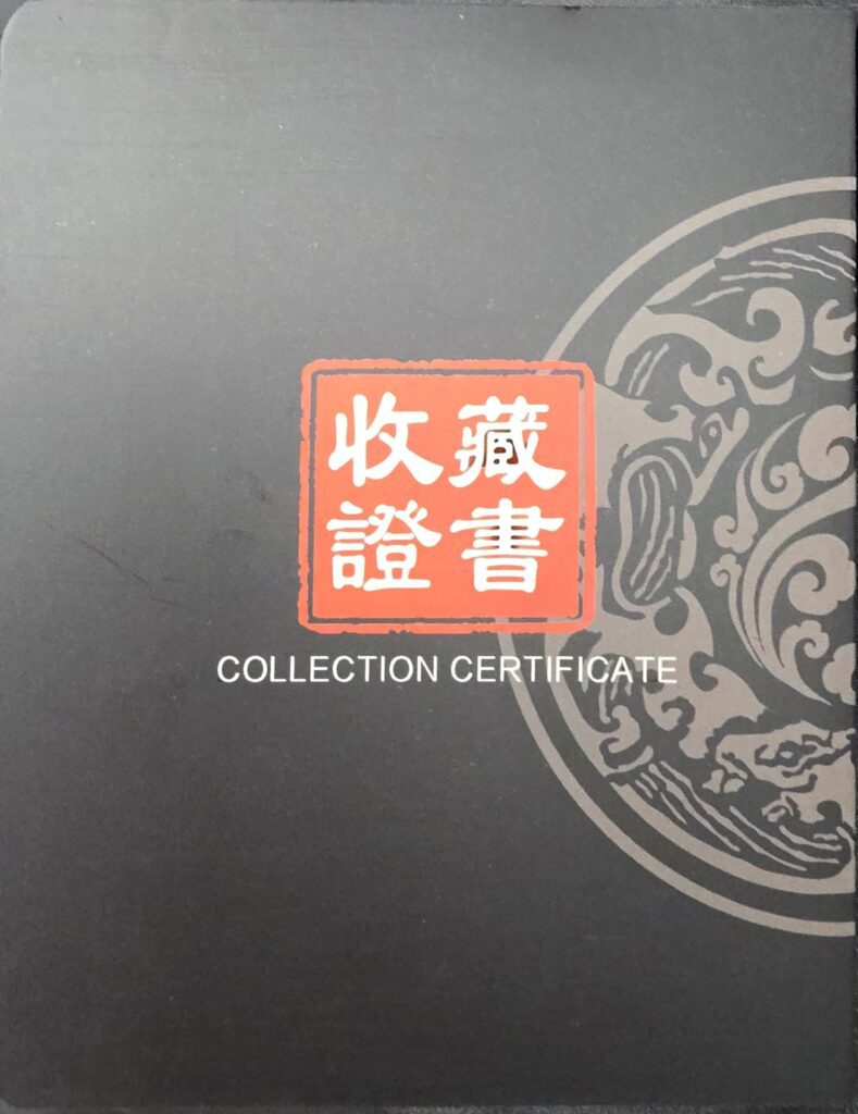 Wang Li Qing artist documentation cover